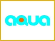 Caption Text